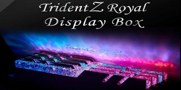 Trident z store rgb royal