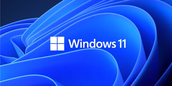 Win11 22H2 again exposed a new bug: IME editor will cause related applications to crash |  XFastest News