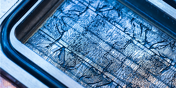 Re: [問卦] GPU 8Hz 484正解